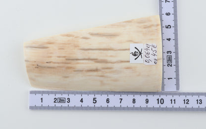 Natural mammoth ivory piece
