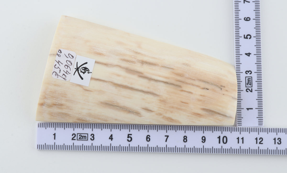 Natural mammoth ivory piece