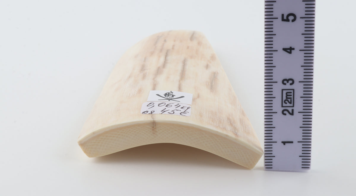 Natural mammoth ivory piece