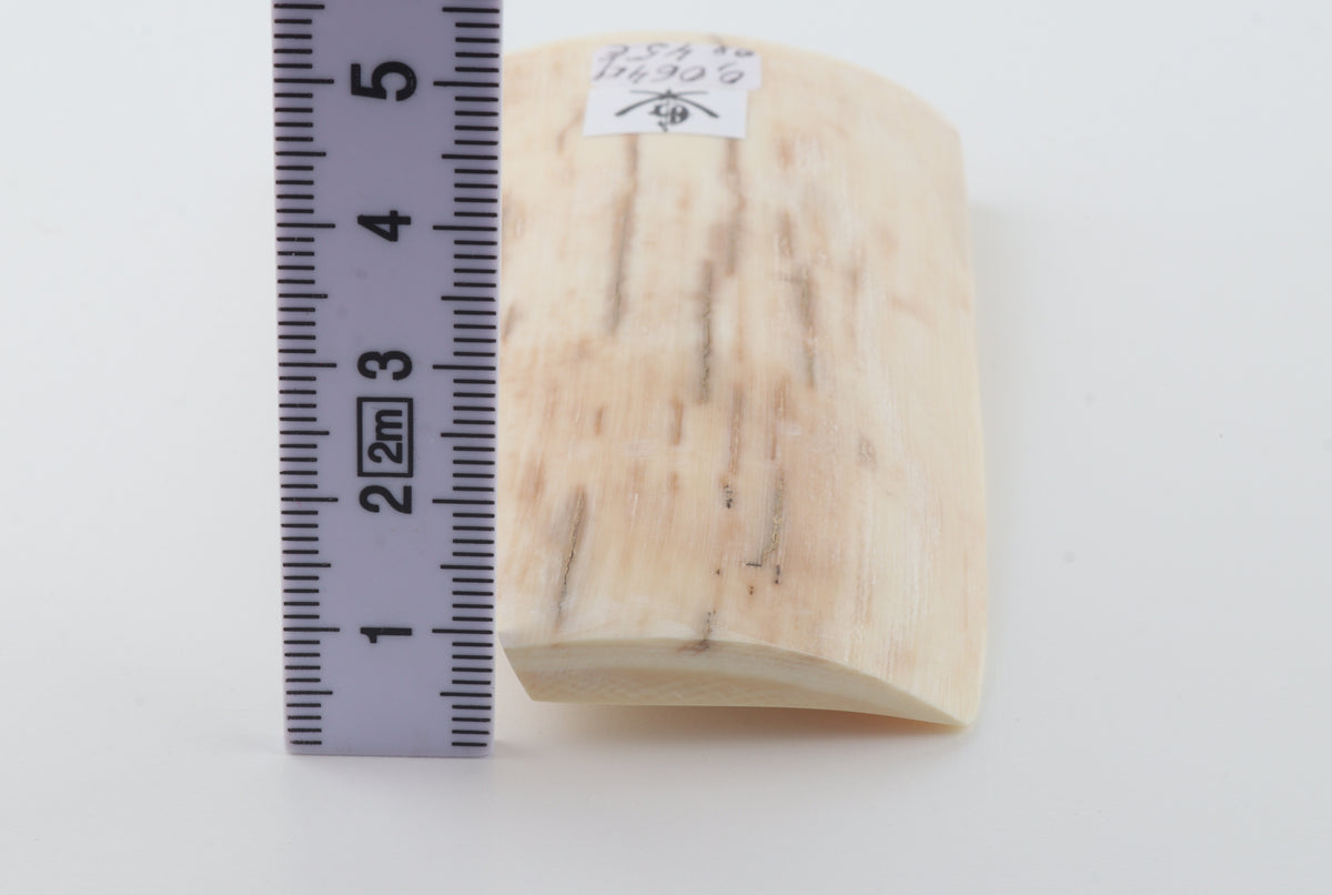 Natural mammoth ivory piece