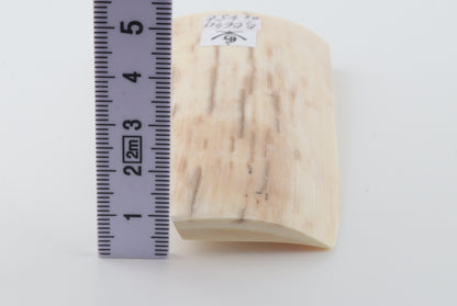Natural mammoth ivory piece