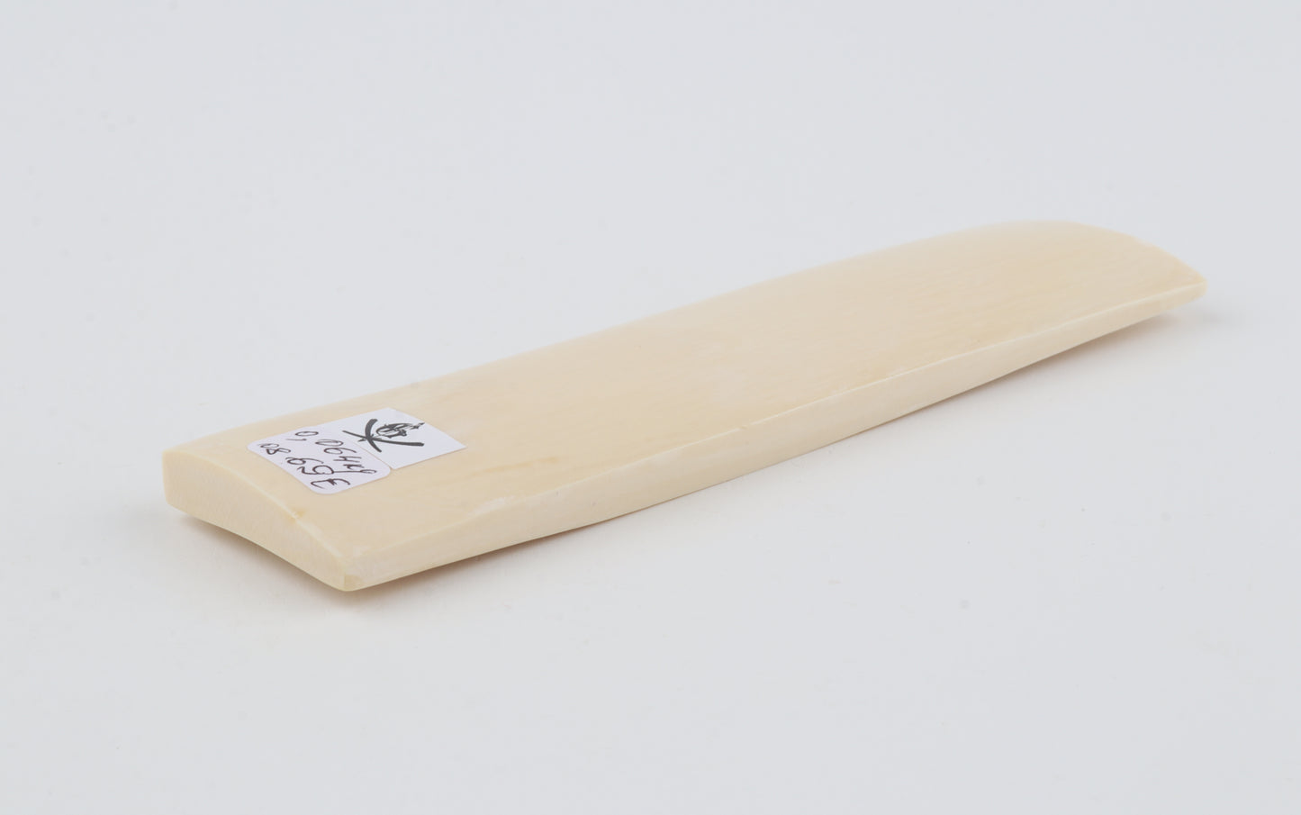 White mammoth ivory segment