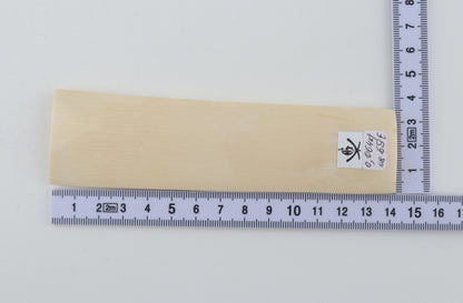 White mammoth ivory segment