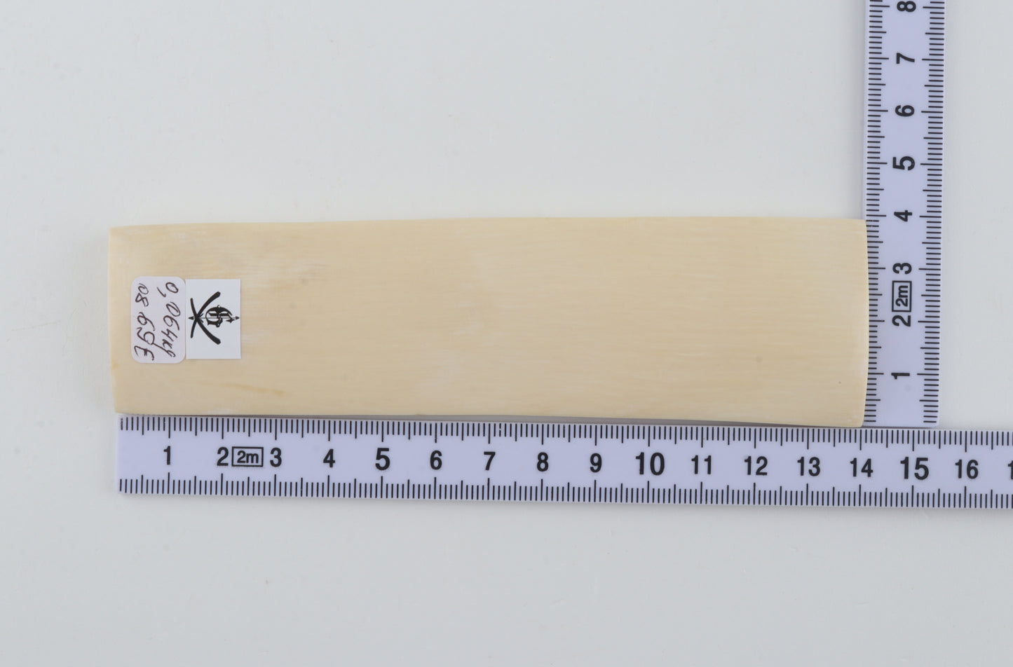 White mammoth ivory segment