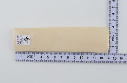 White mammoth ivory segment