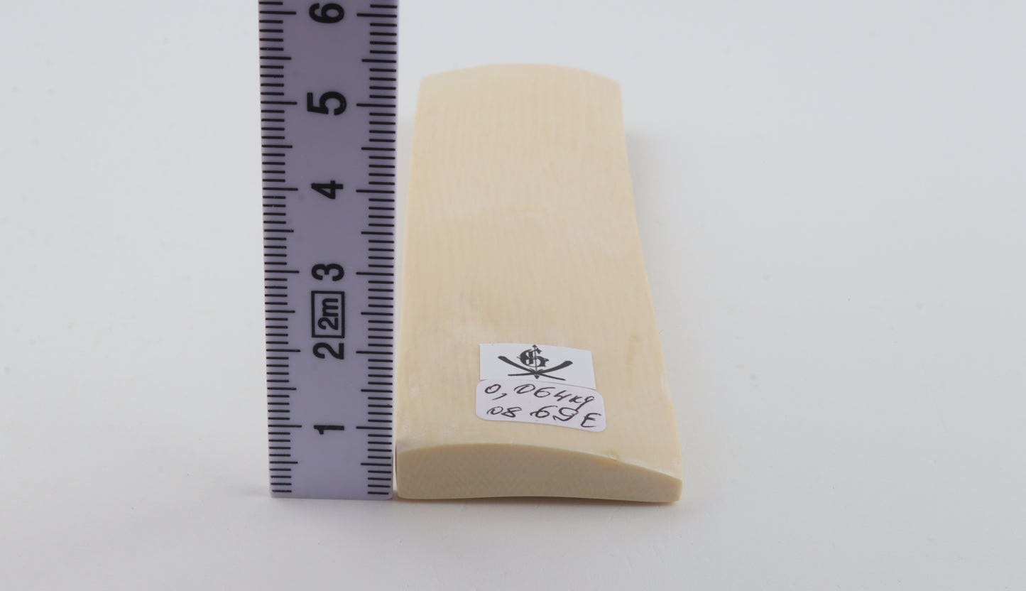 White mammoth ivory segment