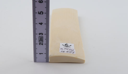 White mammoth ivory segment