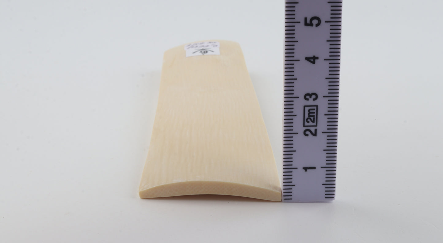 White mammoth ivory segment