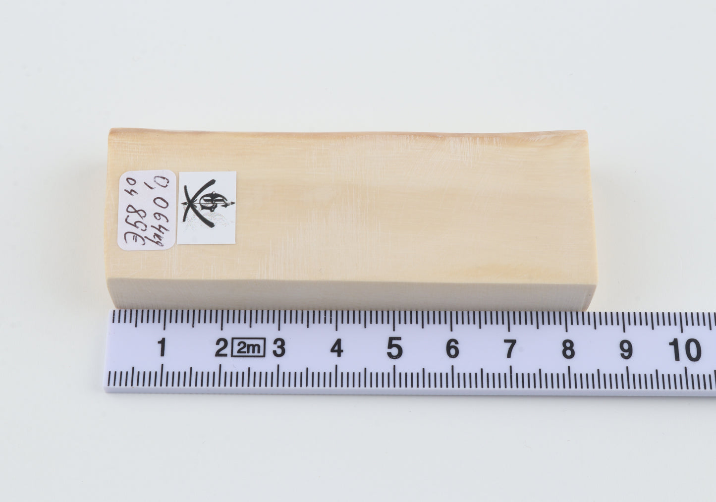 White mammoth ivory segment