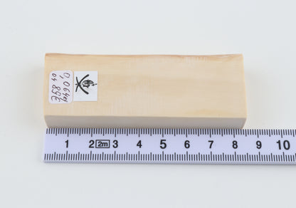 White mammoth ivory segment