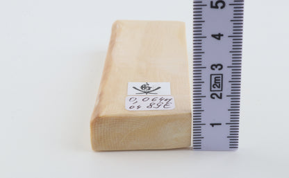 White mammoth ivory segment