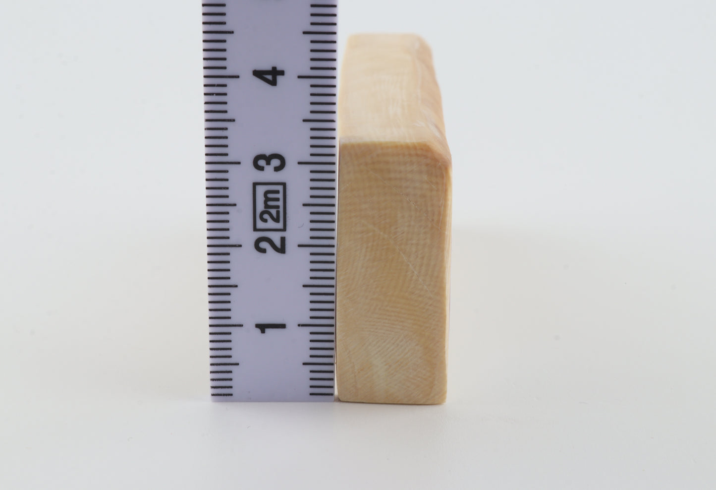 White mammoth ivory segment