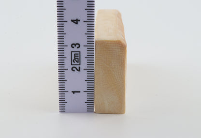 White mammoth ivory segment