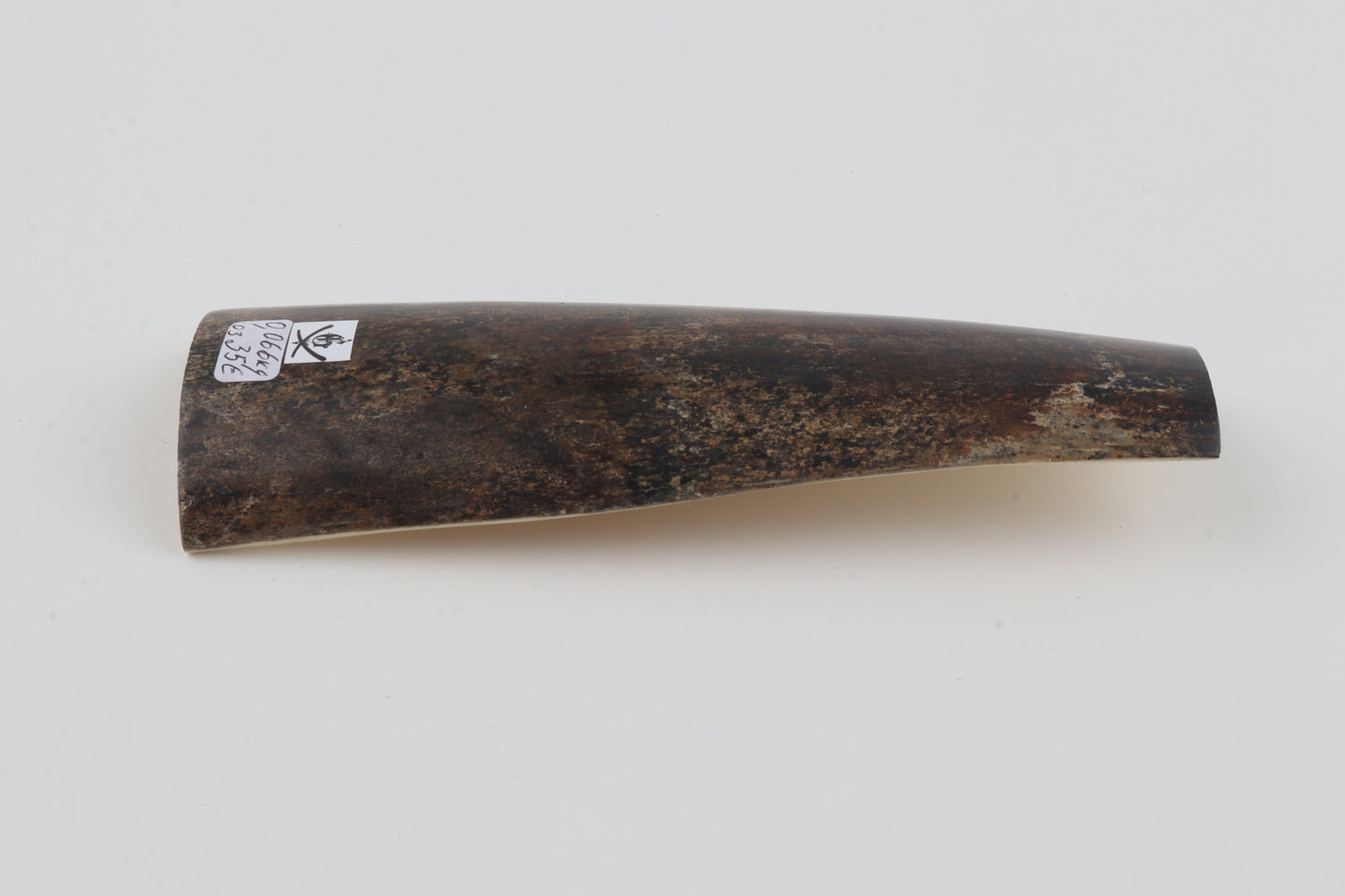 Brown-grey mammoth bark