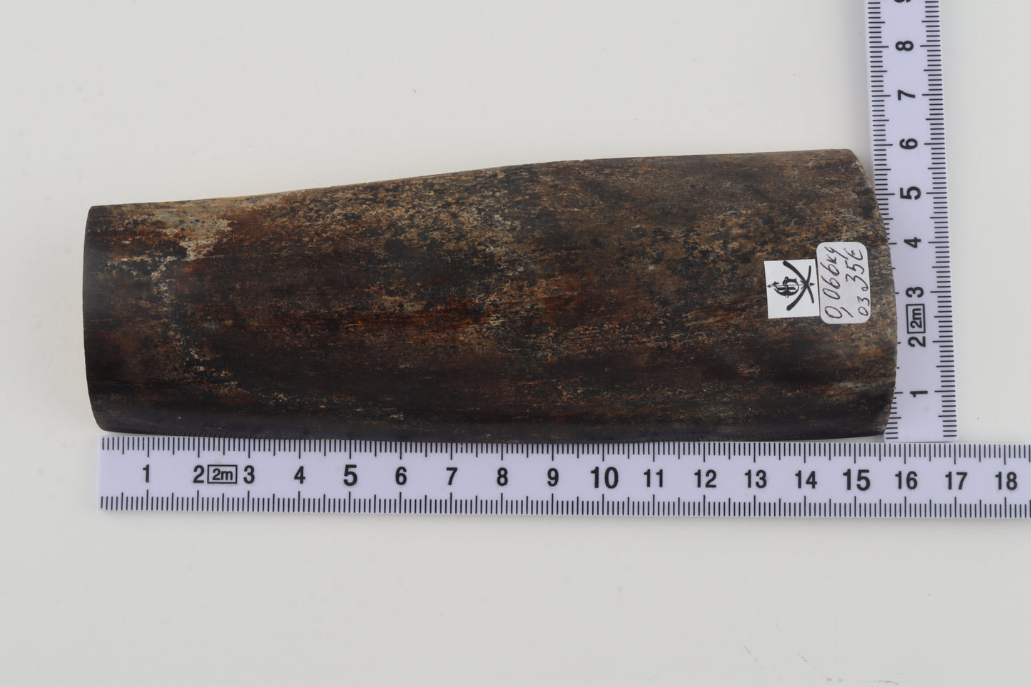 Brown-grey mammoth bark