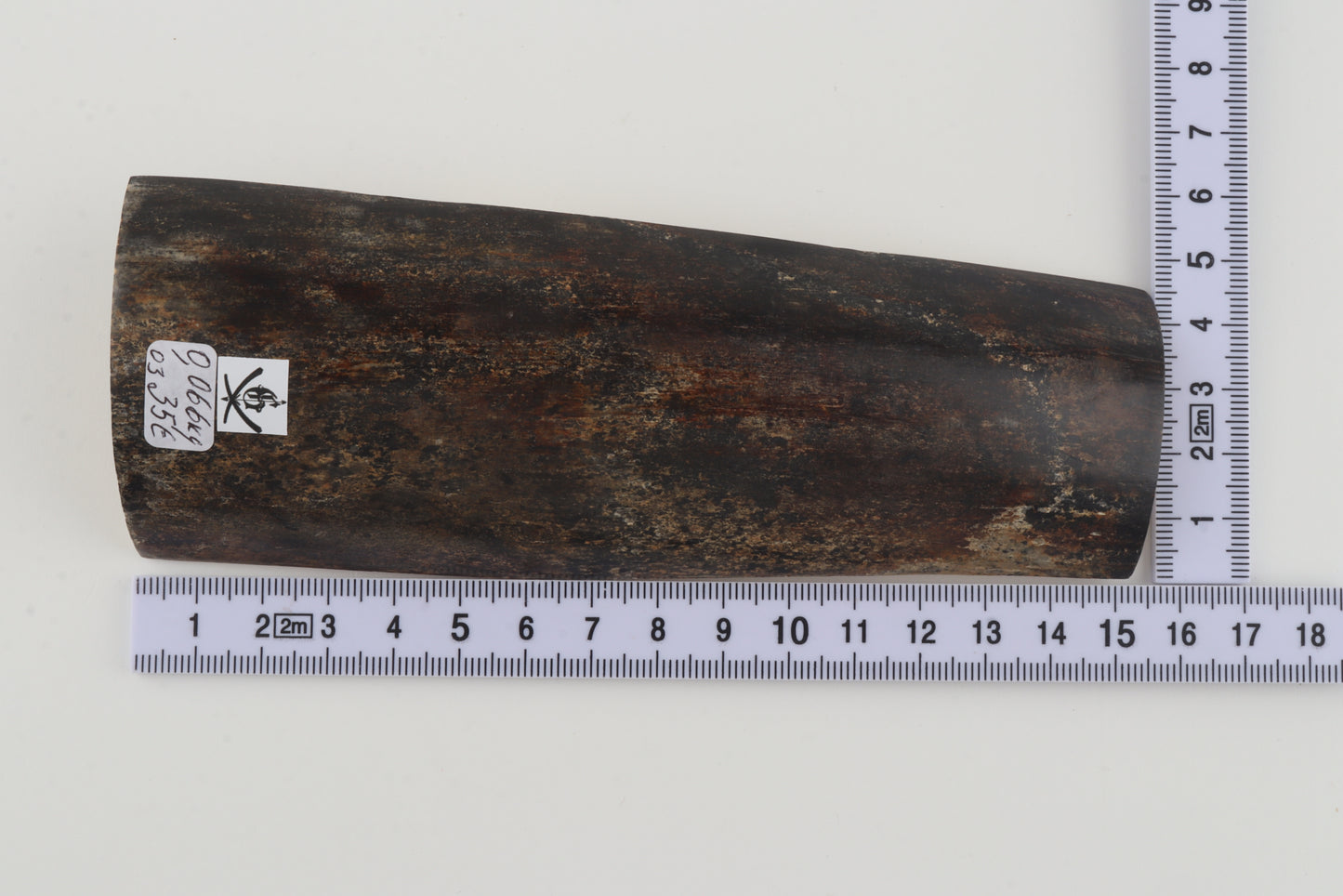 Brown-grey mammoth bark