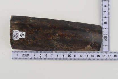Brown-grey mammoth bark
