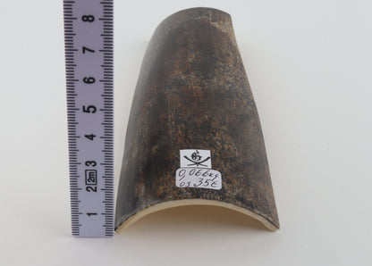 Brown-grey mammoth bark