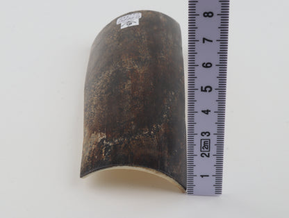 Brown-grey mammoth bark