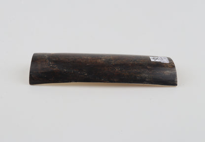 Brown-grey mammoth bark