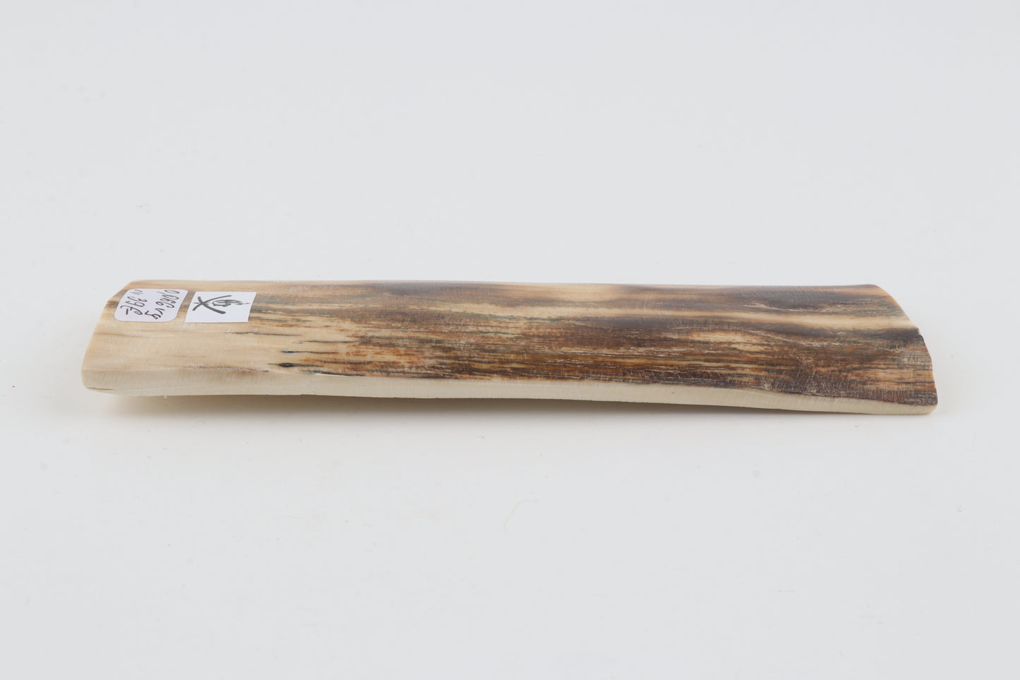 Beige-brown mammoth bark