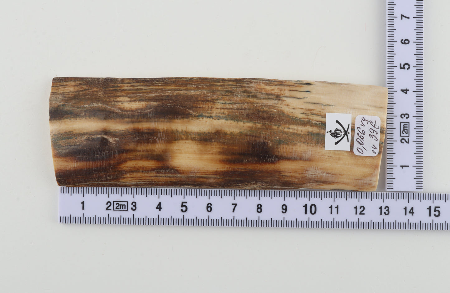 Beige-brown mammoth bark