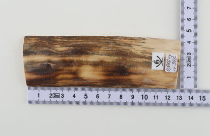 Beige-brown mammoth bark