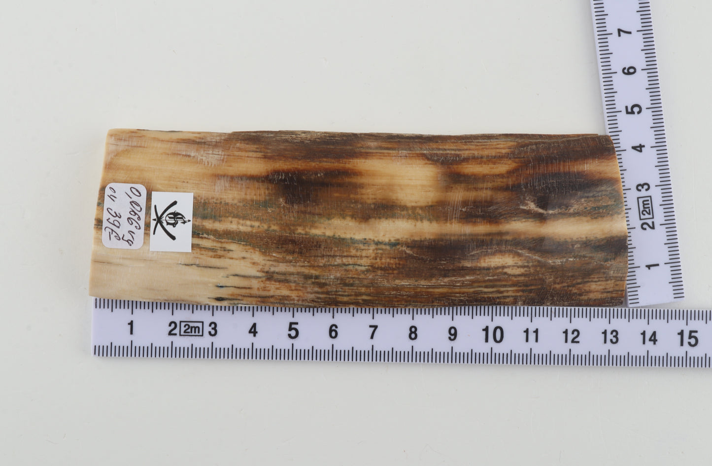 Beige-brown mammoth bark