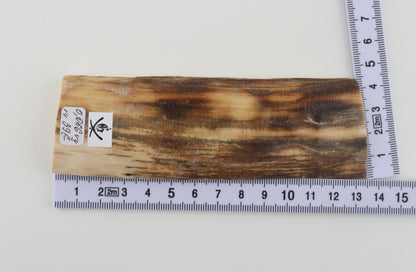 Beige-brown mammoth bark