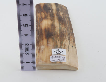 Beige-brown mammoth bark