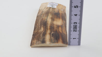 Beige-brown mammoth bark