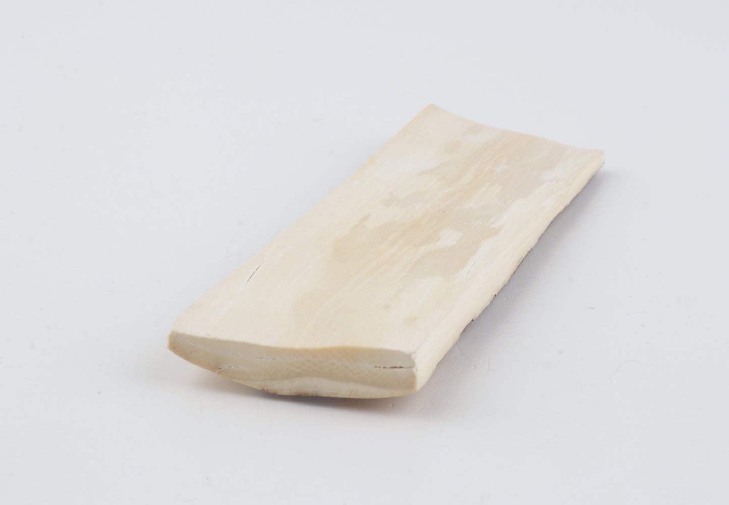 Beige-brown mammoth bark