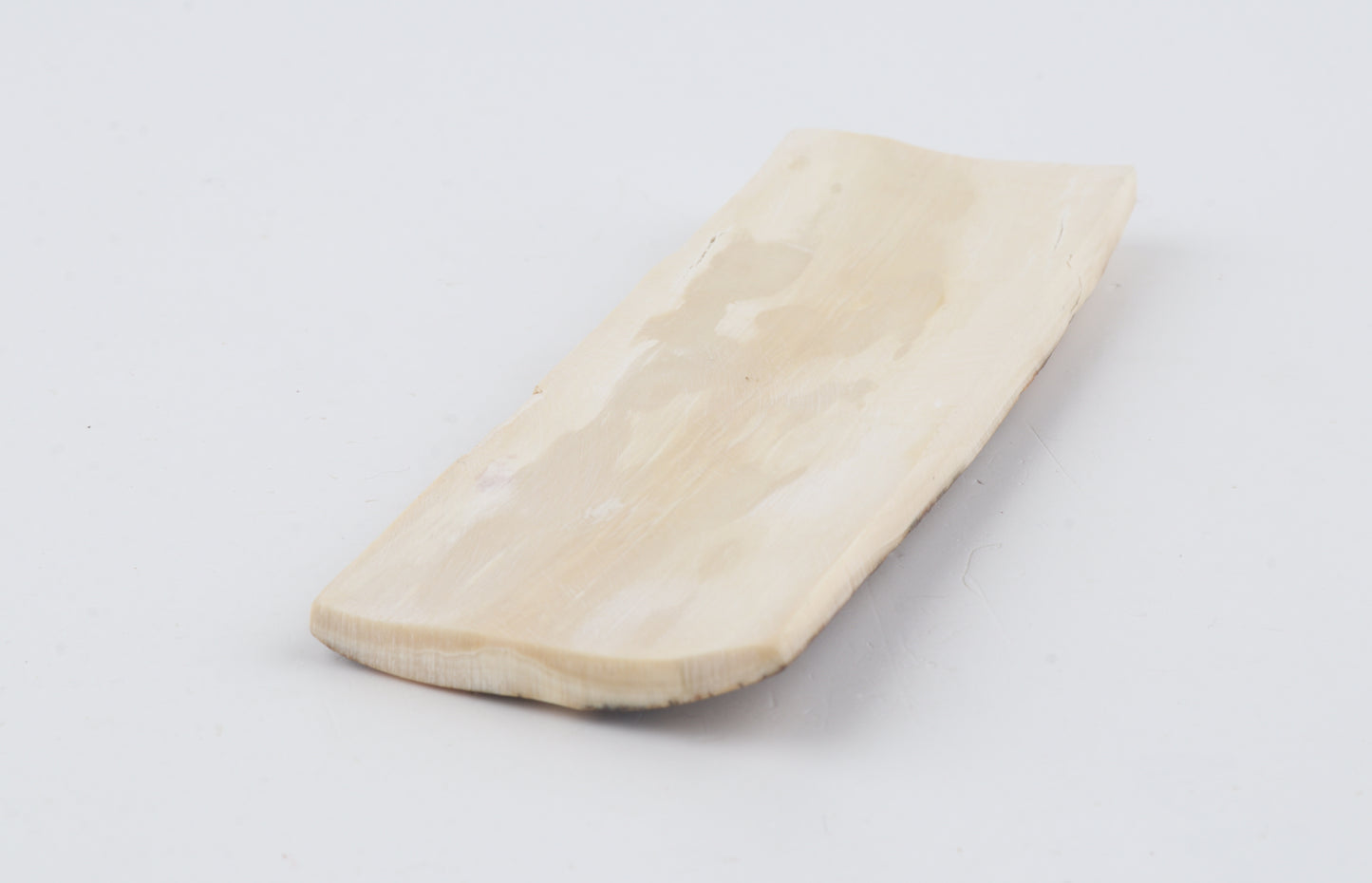 Beige-brown mammoth bark