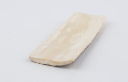 Beige-brown mammoth bark