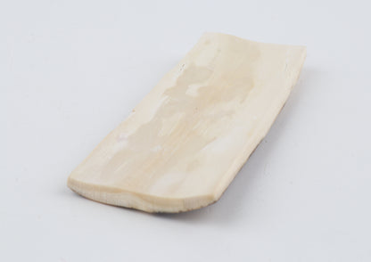 Beige-brown mammoth bark