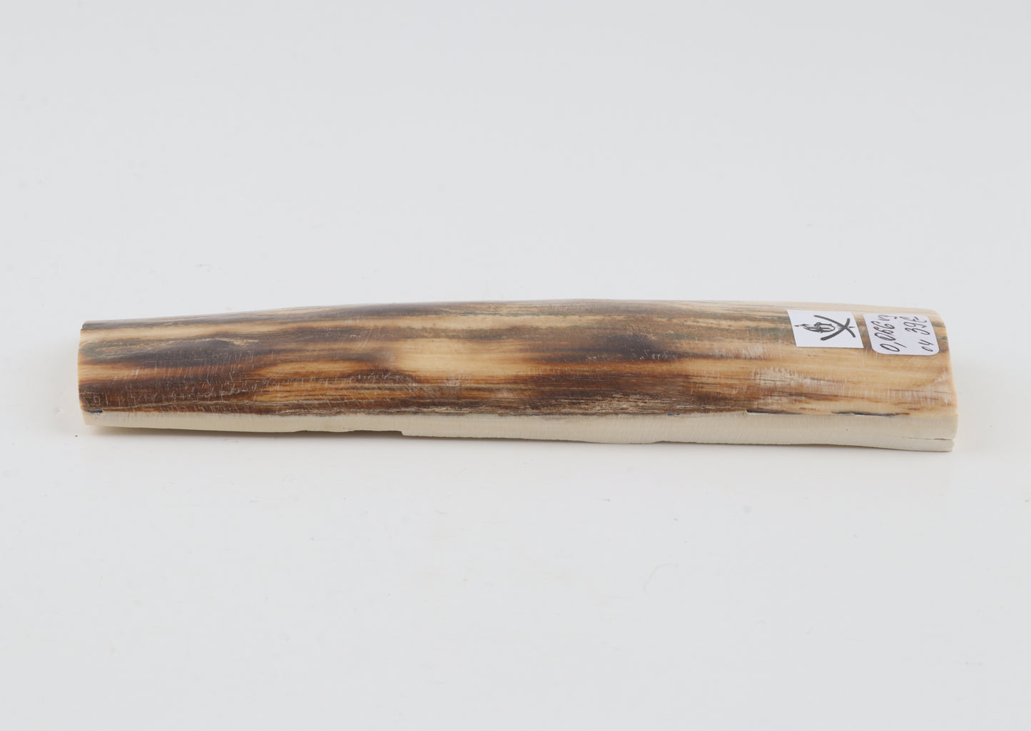 Beige-brown mammoth bark