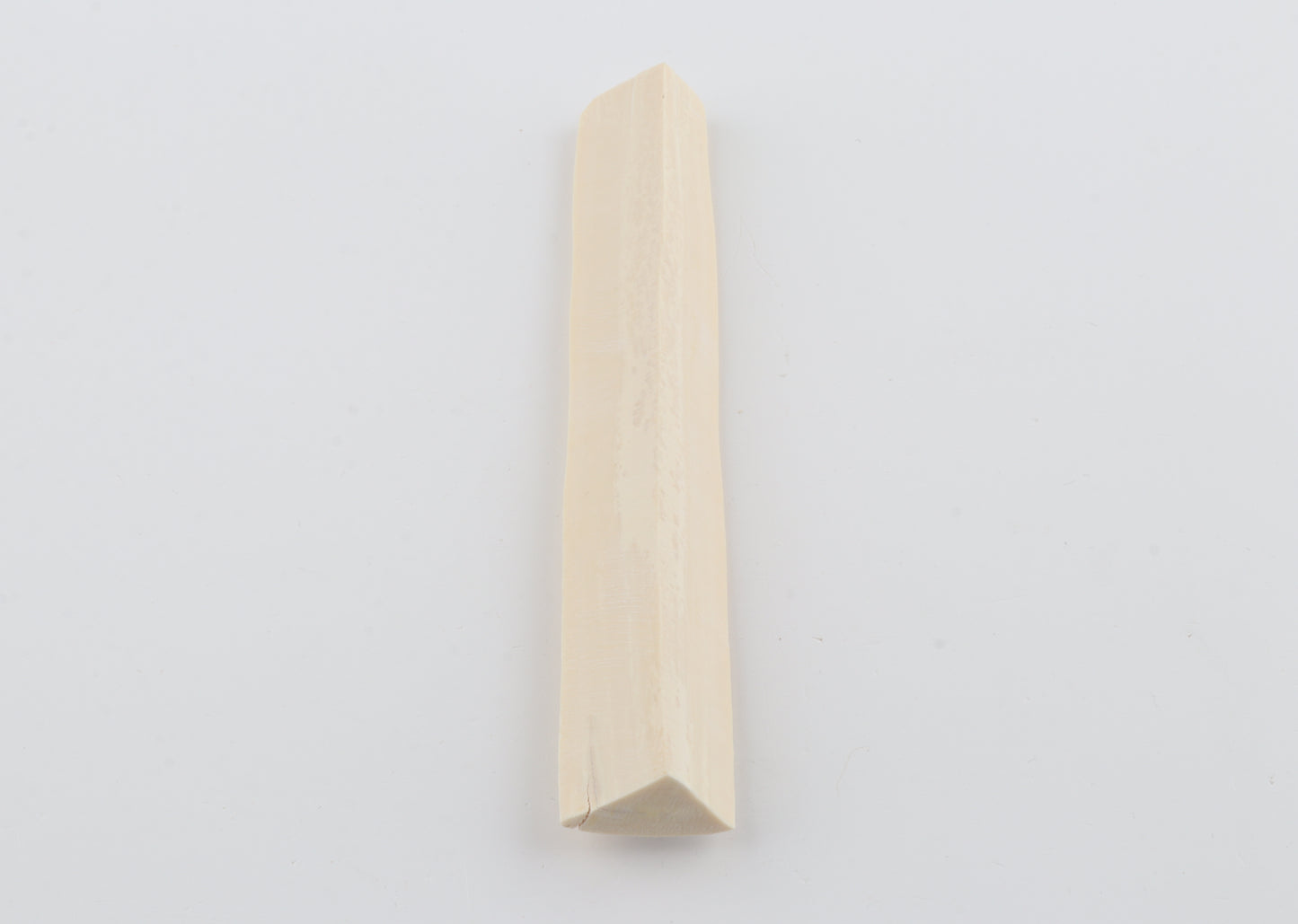 White mammoth ivory segment