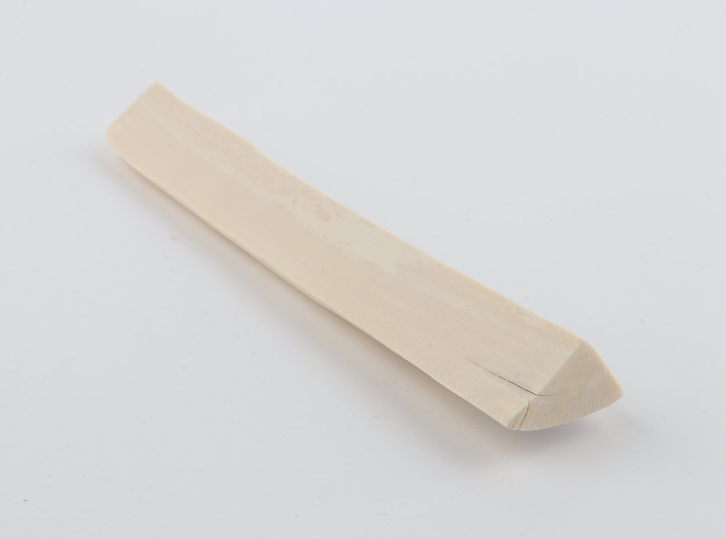 White mammoth ivory segment