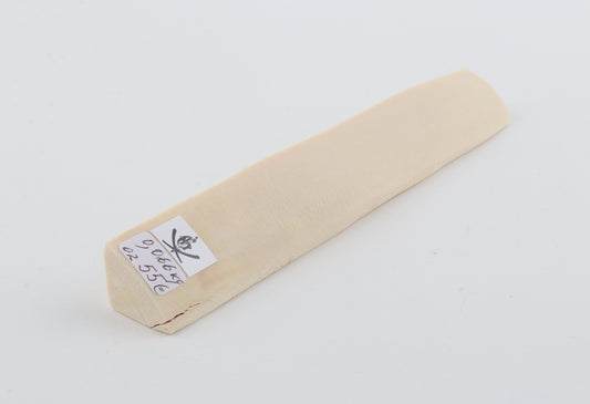 White mammoth ivory segment
