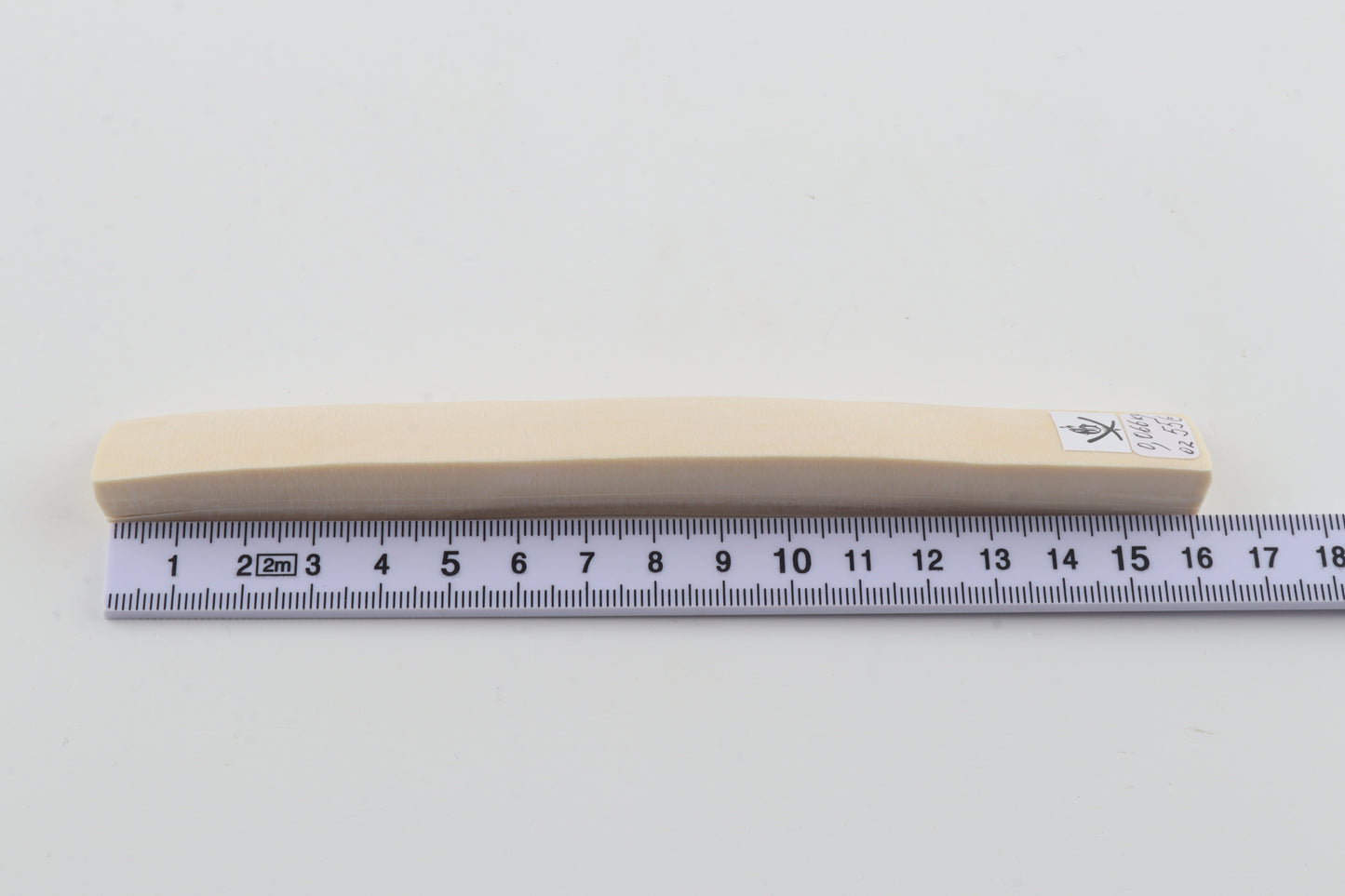 White mammoth ivory segment
