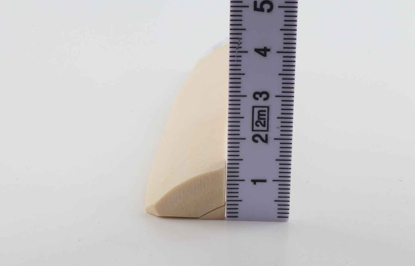 White mammoth ivory segment