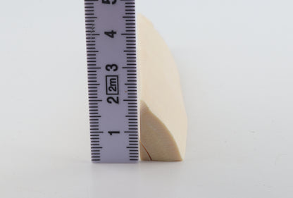 White mammoth ivory segment