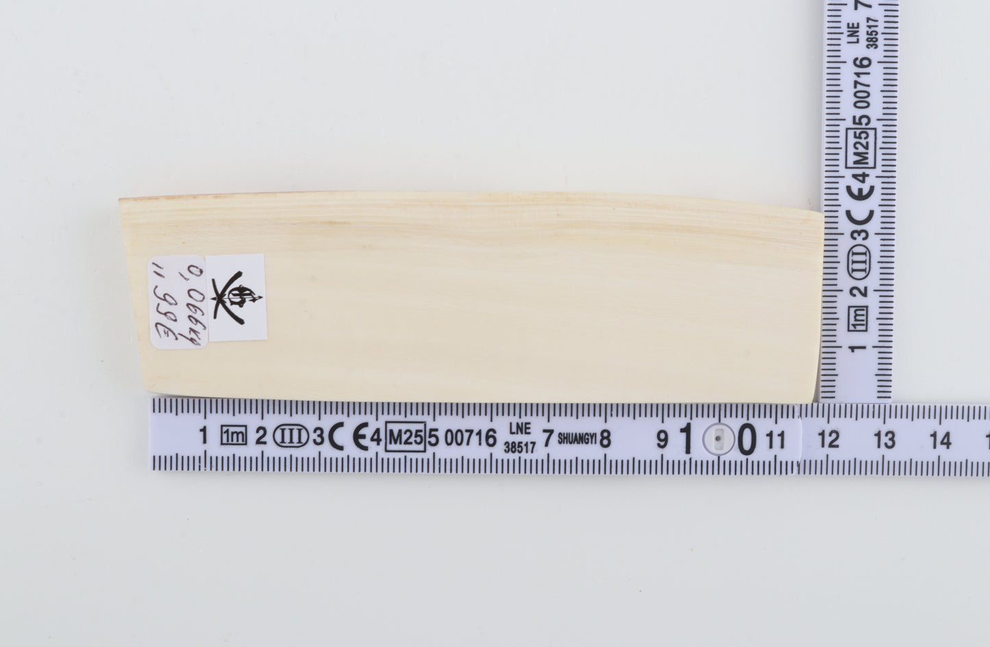 White mammoth ivory segment