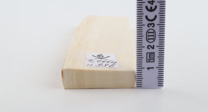 White mammoth ivory segment