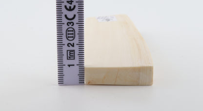 White mammoth ivory segment