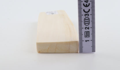 White mammoth ivory segment