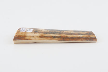 Creme-brown mammoth bark