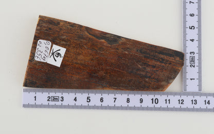 Brown-caramel mammoth bark