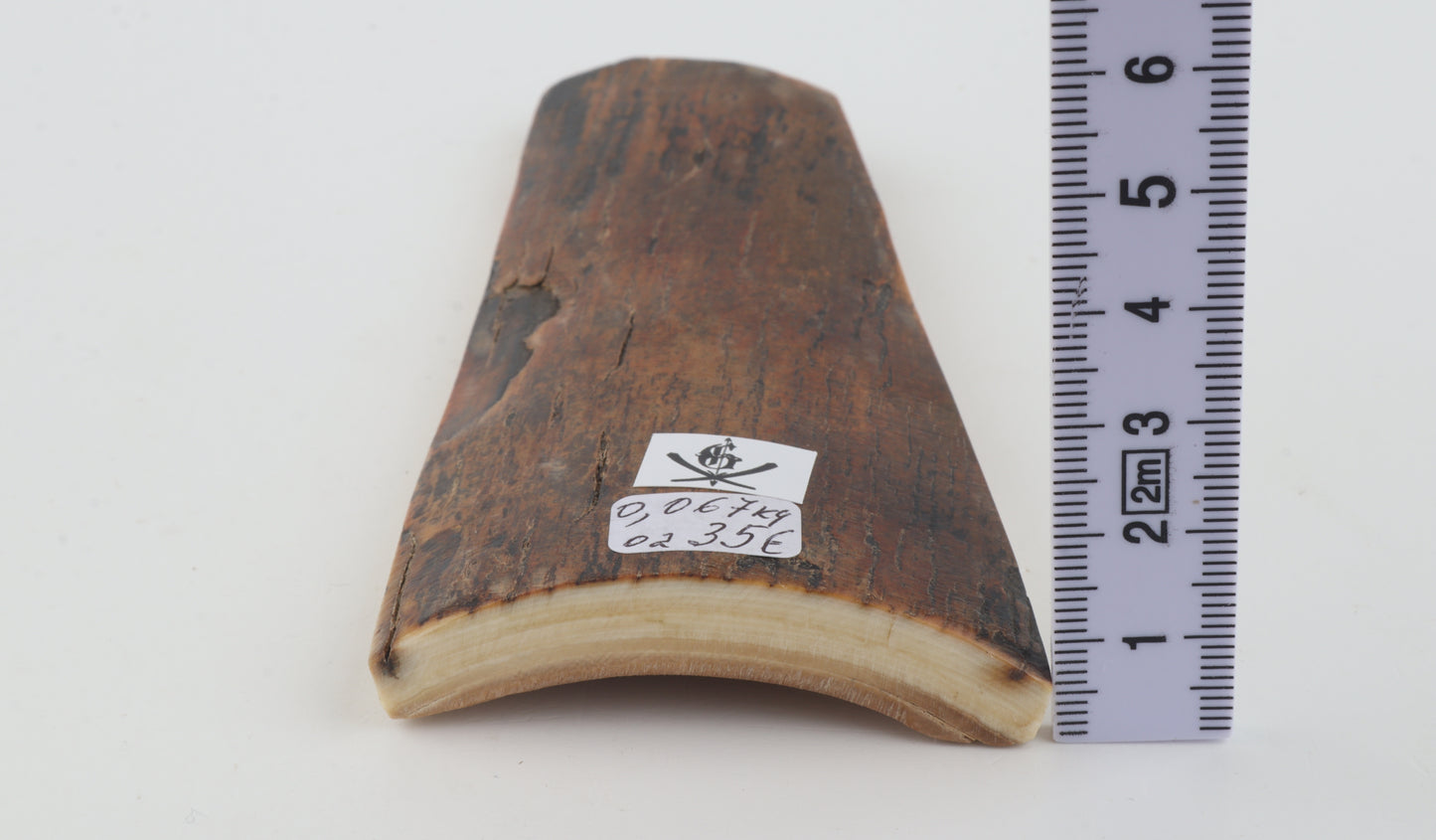 Brown-caramel mammoth bark