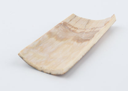 Creme-brown mammoth bark